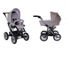Коляска 2 в 1 Teutonia Mistral P