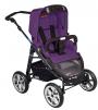 spirit plum purple 658