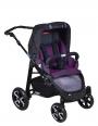 gento wine purple 629