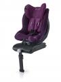 plum purple