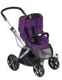 spirit plum purple 658