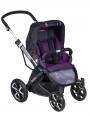 gento wine purple 629
