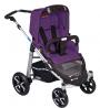 spirit plum purple 658