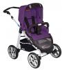 spirit plum purple 658