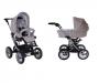 Коляска 2 в 1 Teutonia Mistral P