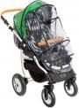 DPG CARINO NEW