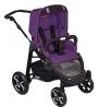 spirit plum purple 658