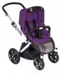spirit plum purple 658