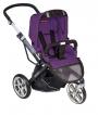 spirit plum purple 658