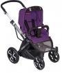 spirit plum purple 658